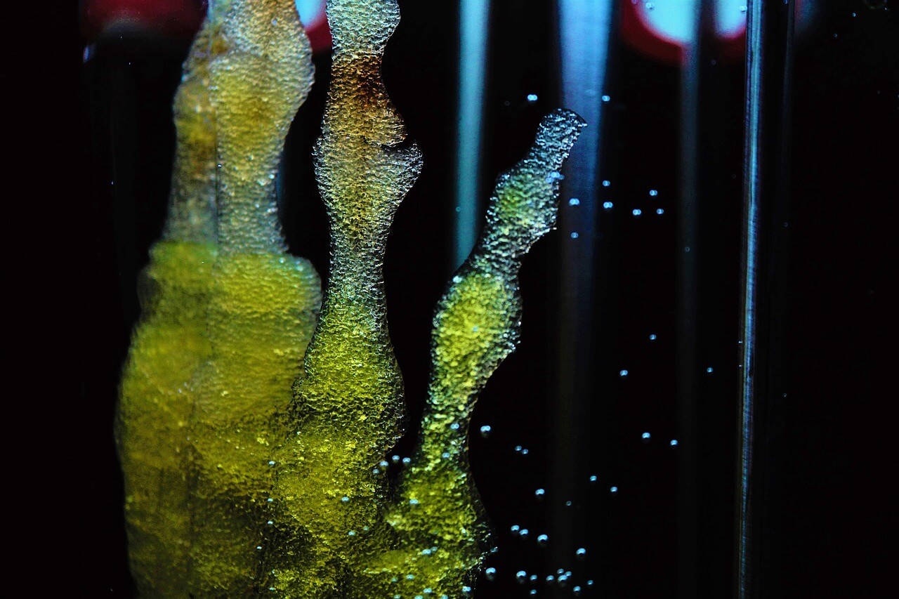 MediVision AR - 3D anatomical visualization